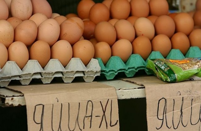 Експерт прогнозира спад в цените на яйцата до Великден