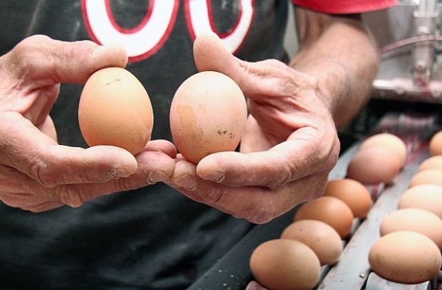 Нормалната цена на яйцата е 30-35 ст. за брой, смята производител