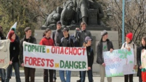 И във Варна спасяват гората от закона