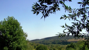 Министрите разрешиха проучването за подземни богатства край Аврен