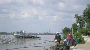 От утре се забранява риболова на щука и бяла риба