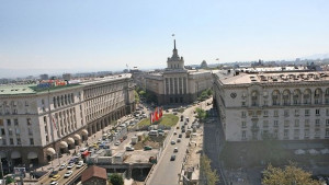 Големият синигер гугутката и врабчето в битка за птица символ