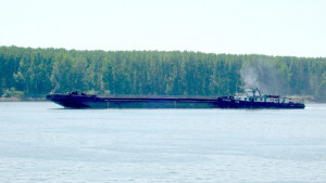 Нивото на река Дунав пада