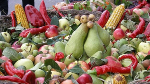 Крайностите на екоманиаците