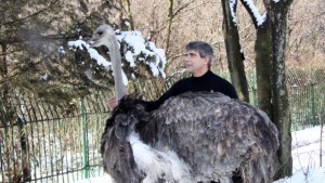 Старозагорският зоопарк вече има двойка щрауси