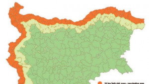 Стартира кампания за ваксинация срещу чума по дивите свине