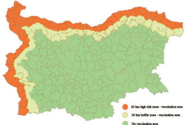 Ваксина за дивите свине срещу класическа чума
