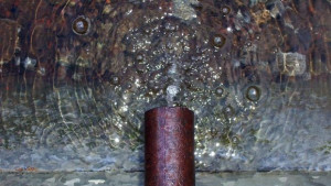 Изтича уникален природен дар