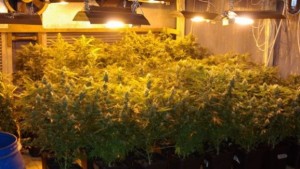 Задържаха двама мъже оборудвали нарколаборатория в Габрово