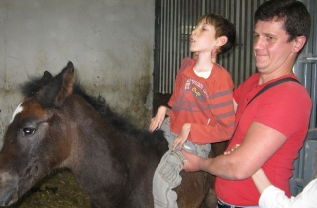 10 деца с проблемно поведение започват занимания по конна езда