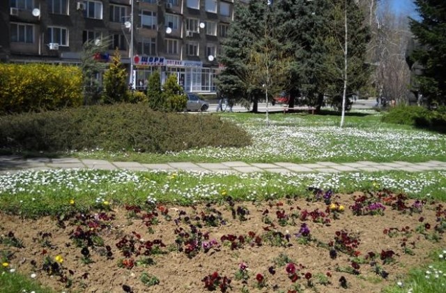 Настъпи астрономическата пролет