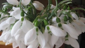Честита първа пролет