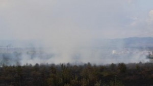 Потушен е пожар в резервата Сребърна