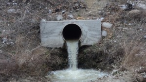 Канализационни води се изливат в река Асеновска алармира Кирчо Димитров