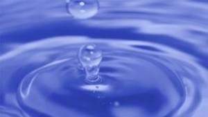 Отбелязваме Световния ден на водата