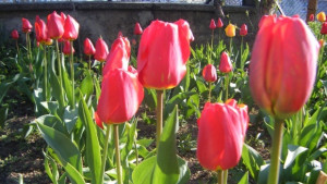 Изпращаме март със студ април ще е потопъл