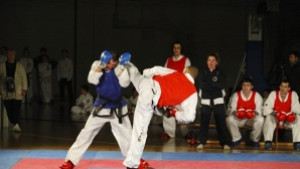 Показват днес източни бойни изкуства