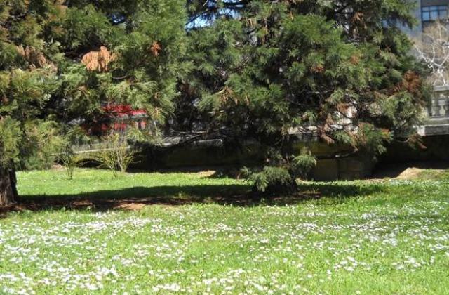 Преминаваме към лятното часово време