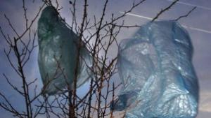 Проверяват магазини за използване на полимерни торбички