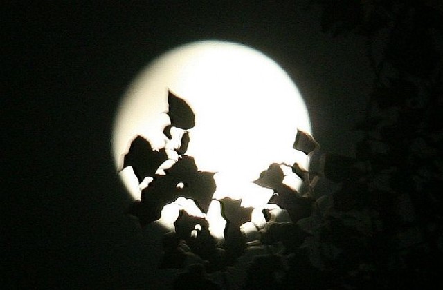 Тъй е било от памтивека