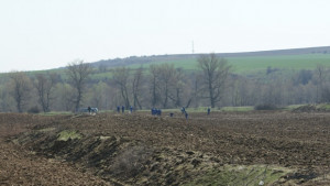 В Община Козлодуй започна масово залесяване