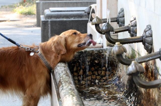 Авария остави курорт без вода