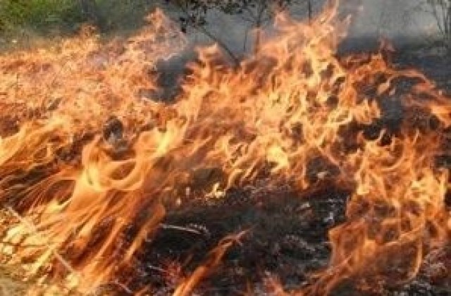 Заповед за превантивни мерки през пожароопасния сезон издаде областният управител