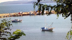 В Бяла Аврен и Долни Чифлик ще развиват рибарството с