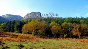 Откриват Седмицата на гората от Враца