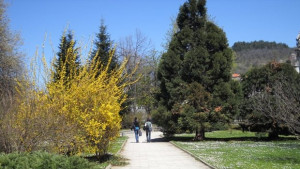 350 творби за конкурса Приказките на гората