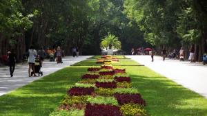 Правят жива верига в защита на Морската градина