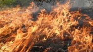Пожарникарите съветват Не палете огън на открито и при вятър