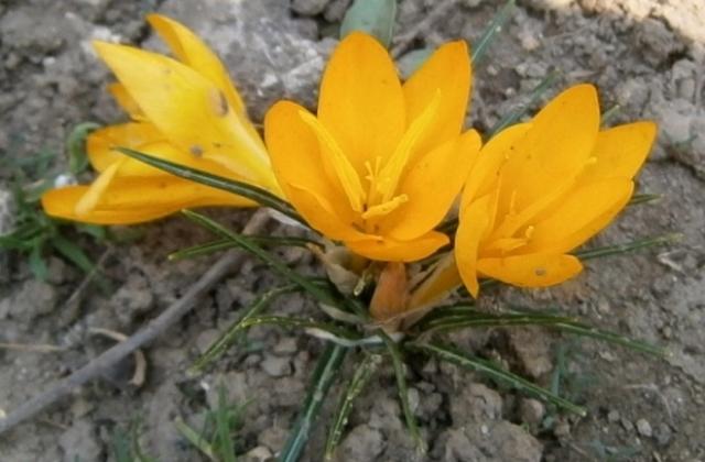 Слънчево, но и със слаб вятър