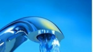 Суша на Зеленчуковата борса