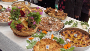 Две врачанчета омаяха жури с картини