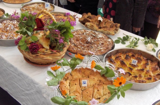 Две врачанчета омаяха жури с картини