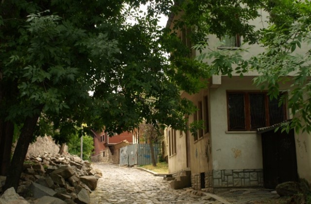 Представят новия шеф на Старинен Пловдив