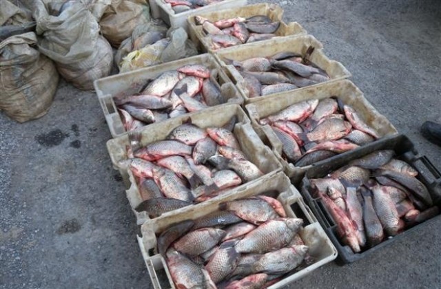 Осъдиха бракониер на три години условно за незаконен улов на риба