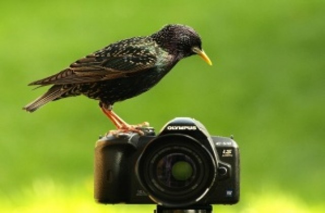 Фотоконкурс за детска фотография „Моето първо наблюдение”