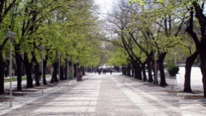 Стара Загора се включва в кампания против прекомерната употреба на