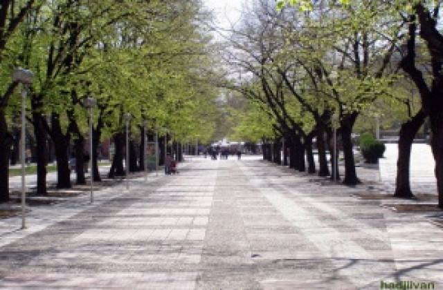 Стара Загора се включва в кампания против прекомерната употреба на готварска сол
