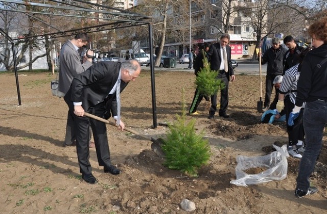 С 30 нови дръвчета бе даден старт на озеленителната кампания на озеленителната кампания в Сливен
