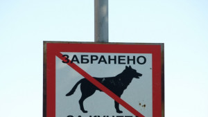 Район Централен с три предложения за нови кучешки площадки