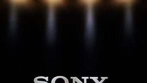 Хакер от Аризона призна за кибератаката срещу Сони