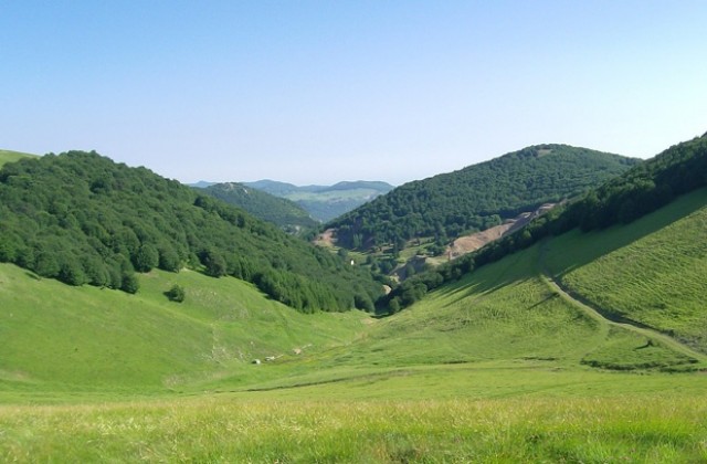 Залесяват Врачански балкан