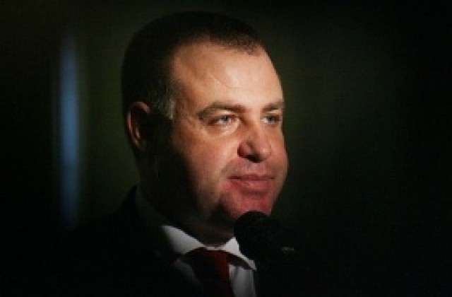 Законови промени ще решават проблема с бездомните кучета
