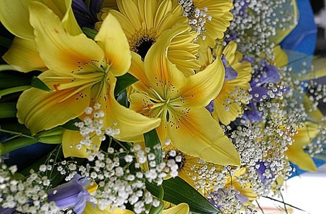 Цветница е!