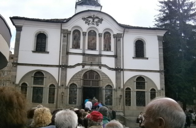 Цветница в Габрово