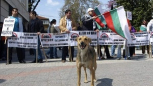 Ще помагаме на София за проблема с бездомните кучета