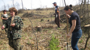 Българи и сърби ще залесяват парк Кадъ боаз